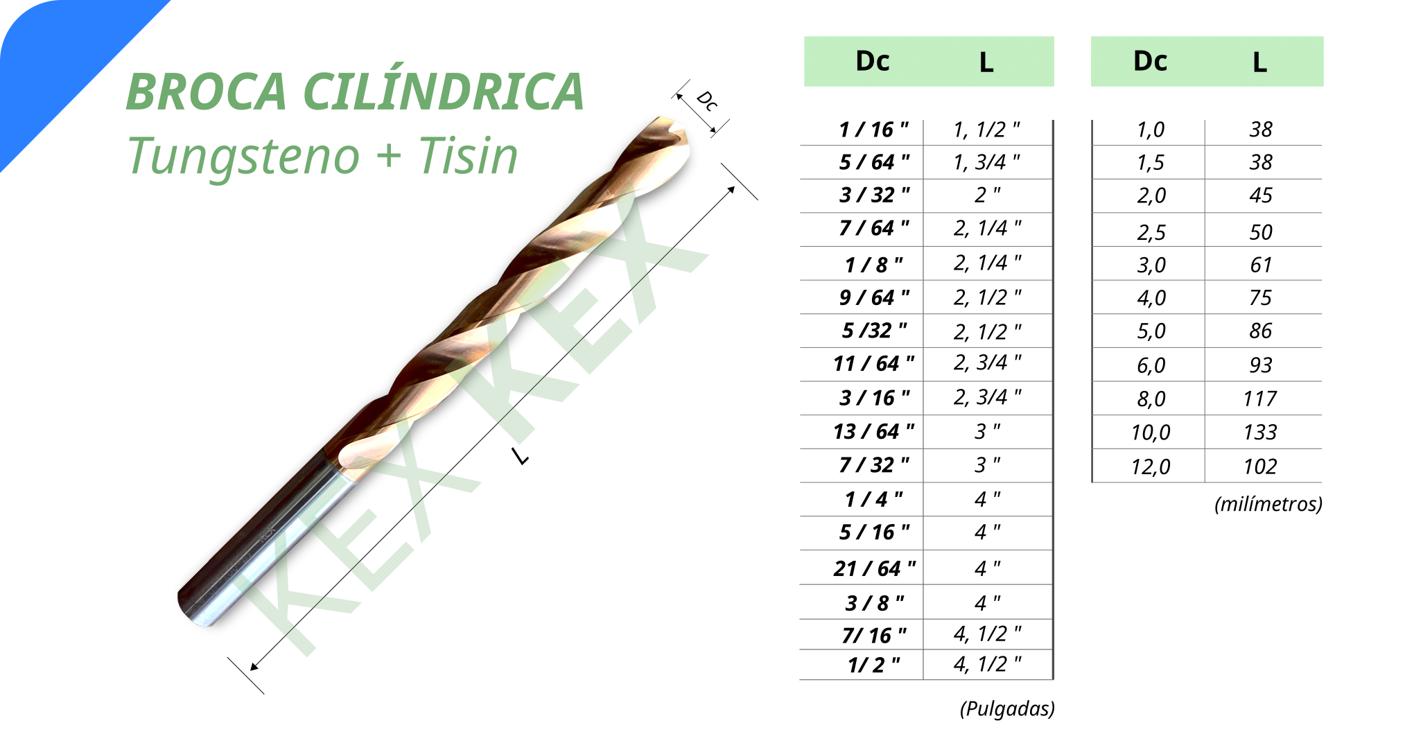 Broca cilindrica tungsteno tisin